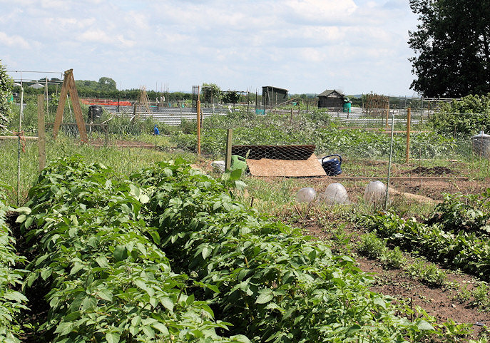 Allotment